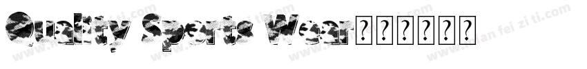 Quality Sports Wear字体转换